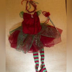 Gymboree Berry Butterfly costume size small 4-5y
